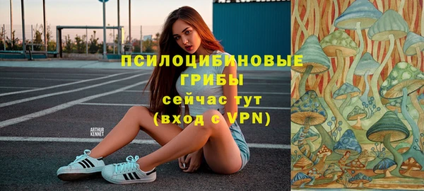 apvp Горнозаводск