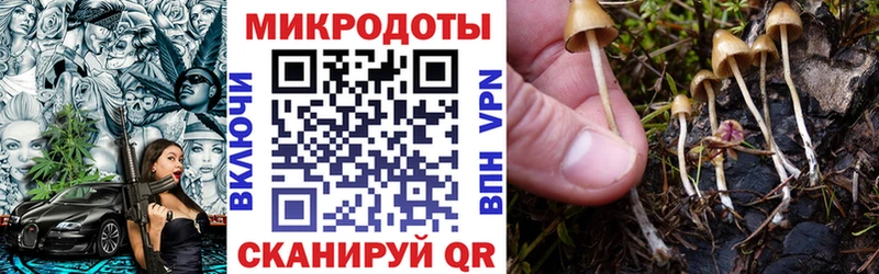 Псилоцибиновые грибы Psilocybine cubensis  Купить где  Печоры 